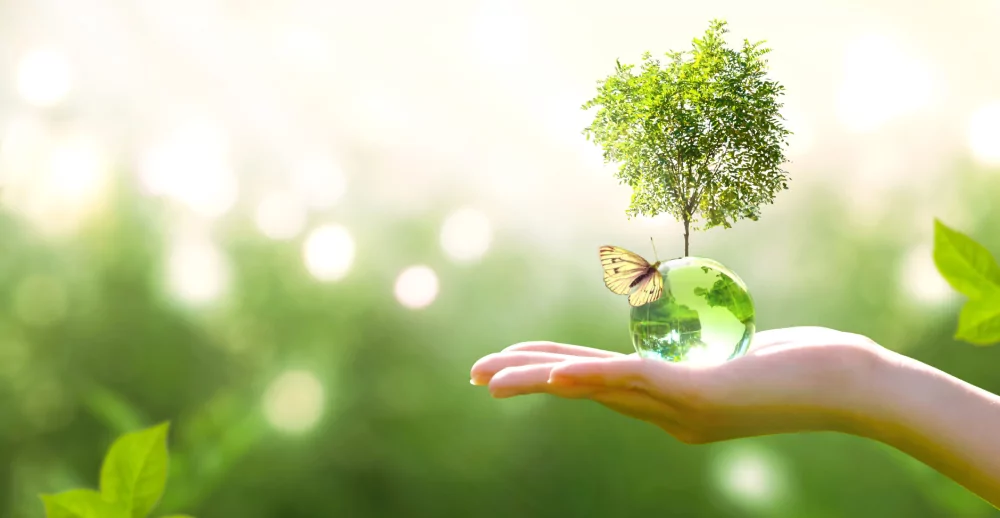 AdobeStock_288819129-1-scaled